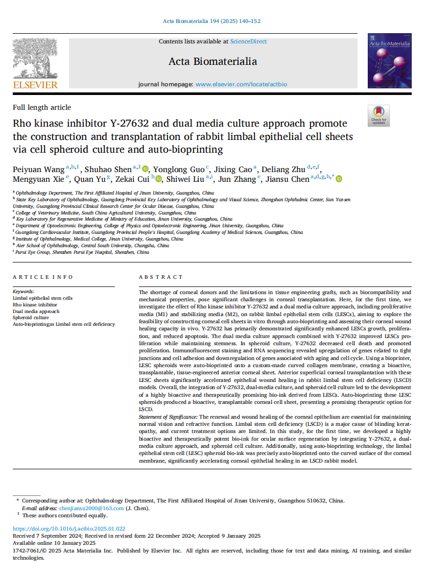 Rho kinase inhibitor Y-27632 and dual media culture approach promote the construction and transplantation of rabbit limbal epithelial cell sheets via cell spheroid culture and auto-bioprinting