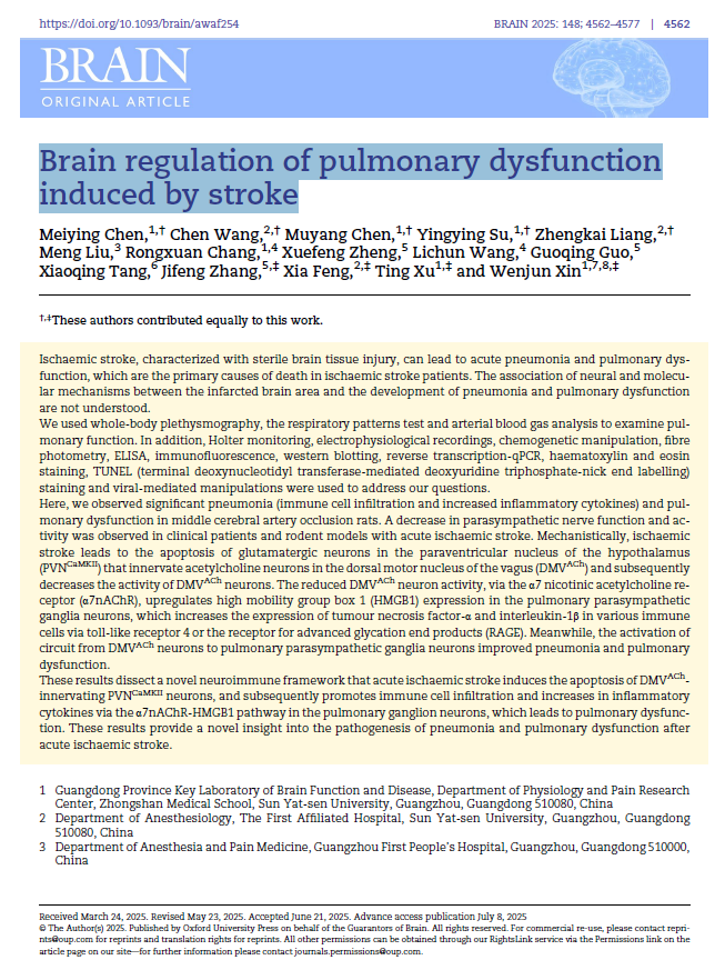 Brain regulation of pulmonary dysfunction induced by stroke